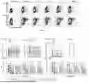Fig. 02 - Coronavirus T Cell Epitopes and Uses Thereof