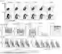 Fig. 04 - Coronavirus T Cell Epitopes and Uses Thereof