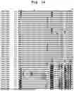 Fig. 02 - PLANT DERIVED INSECTICIDAL PROTEINS AND METHODS FOR THEIR USE