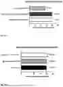 Fig. 08 - NOVEL IMMUNE REGULATOR