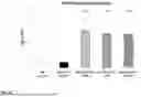 Fig. 13 - NOVEL IMMUNE REGULATOR