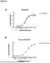 Fig. 07 - MULTISPECIFIC BINDING AGENTS AGAINST PD-L1 AND CD137 IN COMBINATION WITH ANTI PD-1 ANTIBODIES FOR TREATING CANCERS