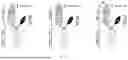 Fig. 05 - ANTIBODY MASKS AND USES THEREOF