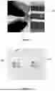Fig. 04 - 3D Printable Carbonated Polymer