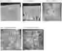 Fig. 02 - COATING RESISTANT TO BIOGROWTH PARTICULARLY IN MARINE ENVIRONMENTS