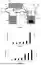 Fig. 02 - FLUIDIC SYSTEM FOR PRODUCING EXTRACELLULAR VESICLES AND RELATED METHOD