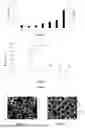 Fig. 03 - FLUIDIC SYSTEM FOR PRODUCING EXTRACELLULAR VESICLES AND RELATED METHOD