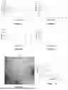 Fig. 05 - FLUIDIC SYSTEM FOR PRODUCING EXTRACELLULAR VESICLES AND RELATED METHOD