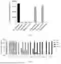 Fig. 03 - NUCLEIC ACID DETECTION KIT AND DETECTION METHOD BASED ON THE PHOTO-CONTROLLED CRISPR-CAS SYSTEM