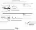 Fig. 02 - METHODS FOR ASSESSING RISK USING TOTAL AND SPECIFIC CELL-FREE DNA