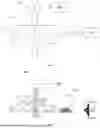 Fig. 02 - ANALYTICAL SYSTEM AND ANALYTICAL METHOD