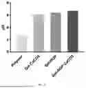 Fig. 05 - SUSTAINED-RELEASE GEL WITH INSOLUBLE SALT AS PH ADJUSTER, PREPARATION METHOD AND APPLICATION THEREOF