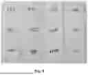 Fig. 09 - DEPOSITING THERMOSETTING MATERIAL ON A THREE DIMENSIONAL OBJECT