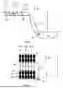 Fig. 06 - Liquid storage tank and method of producing the same