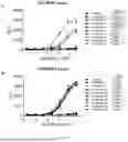 Fig. 04 - CD3-TARGETING T-CELL ENGAGERS WITH IMPROVED THERAPEUTIC INDEX