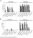 Fig. 13 - CD3-TARGETING T-CELL ENGAGERS WITH IMPROVED THERAPEUTIC INDEX