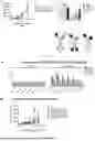 Fig. 14 - CD3-TARGETING T-CELL ENGAGERS WITH IMPROVED THERAPEUTIC INDEX