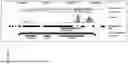 Fig. 41 - METHODS AND COMPOSITIONS FOR BAT IPSC PREPARATION AND USE
