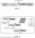 Fig. 02 - RNA REPLICON FOR IMPROVING GENE EXPRESSION AND USE THEREOF