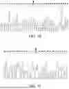 Fig. 07 - RNA REPLICON FOR IMPROVING GENE EXPRESSION AND USE THEREOF