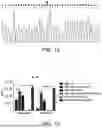 Fig. 08 - RNA REPLICON FOR IMPROVING GENE EXPRESSION AND USE THEREOF