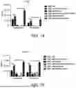 Fig. 09 - RNA REPLICON FOR IMPROVING GENE EXPRESSION AND USE THEREOF