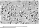 Fig. 05 - COATING FOR HYDRAULIC RODS AND OTHER SLIDING COMPONENTS AND METHOD OF PRODUCING THE SAME