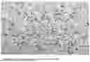 Fig. 06 - COATING FOR HYDRAULIC RODS AND OTHER SLIDING COMPONENTS AND METHOD OF PRODUCING THE SAME
