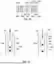 Fig. 04 - GAS COMPRESSOR AND SYSTEM AND METHOD FOR GAS COMPRESSING