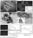 Fig. 02 - COLORIMETRIC NANOSENSOR FOR DETECTING TRACE-LEVEL OF HG2+ IN ENVIRONMENTAL WATER