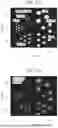Fig. 17 - Collimatorless Combined Compton and Proximity Imaging Technology