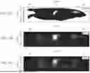 Fig. 23 - Collimatorless Combined Compton and Proximity Imaging Technology