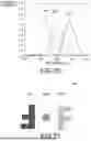 Fig. 14 - LIGHT MODULATION ELEMENT AND INFORMATION RECORDING MEDIUM