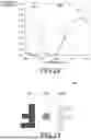 Fig. 15 - LIGHT MODULATION ELEMENT AND INFORMATION RECORDING MEDIUM