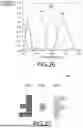 Fig. 17 - LIGHT MODULATION ELEMENT AND INFORMATION RECORDING MEDIUM