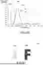 Fig. 26 - LIGHT MODULATION ELEMENT AND INFORMATION RECORDING MEDIUM