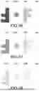 Fig. 29 - LIGHT MODULATION ELEMENT AND INFORMATION RECORDING MEDIUM