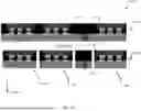 Fig. 22 - PACKAGED DEVICE HAVING AN INTEGRATED PASSIVE DEVICE WITH WAFER LEVEL FORMED CONNECTION TO AT LEAST ONE SEMICONDUCTOR DEVICE AND PROCESSES FOR IMPLEMENTING THE SAME