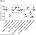 Fig. 02 - PREVOTELLA EXTRACELLULAR VESICLE PREPARATIONS