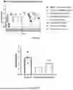 Fig. 06 - DRUGS FOR TREATING NEURODEVELOPMENTAL DISORDERS