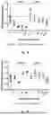 Fig. 02 - 5-HYDROXYMETHYLFURFURAL FOR THE TREATMENT OF MITOCHONDRIAL DYSFUNCTION