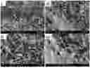 Fig. 01 - COMPOSITIONS AND METHODS FOR TREATING THERAPEUTIC-INDUCED TOXICITIES