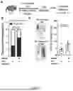 Fig. 06 - METHODS OF PREVENTING A VENOUS THROMBOEMBOLIC EVENT