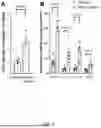 Fig. 07 - METHODS OF PREVENTING A VENOUS THROMBOEMBOLIC EVENT