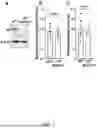 Fig. 08 - METHODS OF PREVENTING A VENOUS THROMBOEMBOLIC EVENT