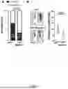 Fig. 09 - METHODS OF PREVENTING A VENOUS THROMBOEMBOLIC EVENT