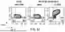 Fig. 87 - COMPOSITIONS AND SYSTEMS FOR REGULATION OF FUNCTION/ABUNDANCE AND DELIVERY OF POLYPEPTIDE PAYLOADS