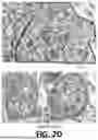 Fig. 07 - METHODS OF TREATING NEURODEGENERATIVE CONDITIONS AND COMPOSITIONS THEREFOR