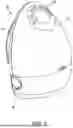 Fig. 02 - BREAST PUMP WITH MILK FLOW SENSOR