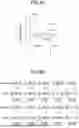 Fig. 07 - METHOD FOR PRODUCING ELECTROCHEMILUMINESCENCE NANOPROBE, ELECTROCHEMILUMINESCENCE NANOPROBE, ELECTROCHEMILUMINESCENCE SENSOR, ELECTROCHEMILUMINESCENCE DETECTION METHOD, AND KIT FOR ELECTROCHEMILUMINESCENCE DETECTION